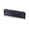 Hikvision U10 DDR4 16GB 3200MHZ Heatsink