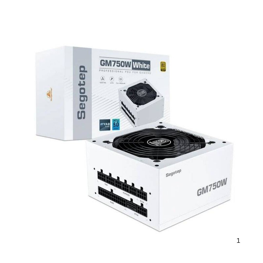 【美中古】Segotep 750W GOLD FULL MODULAR 美中古】Segotep 750W GOLD FULL MODULAR