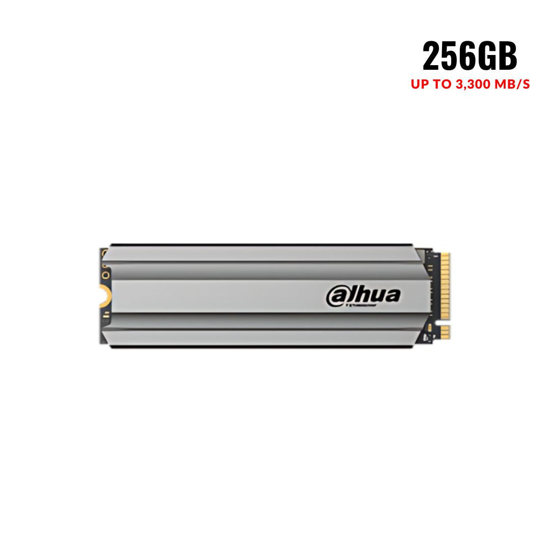 داهوا C900 بلس 256 جيجا بايت M.2 2280 NVMe SSD 
