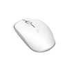 Rapoo AG200 Bluetooth & Wireless Silent Mouse